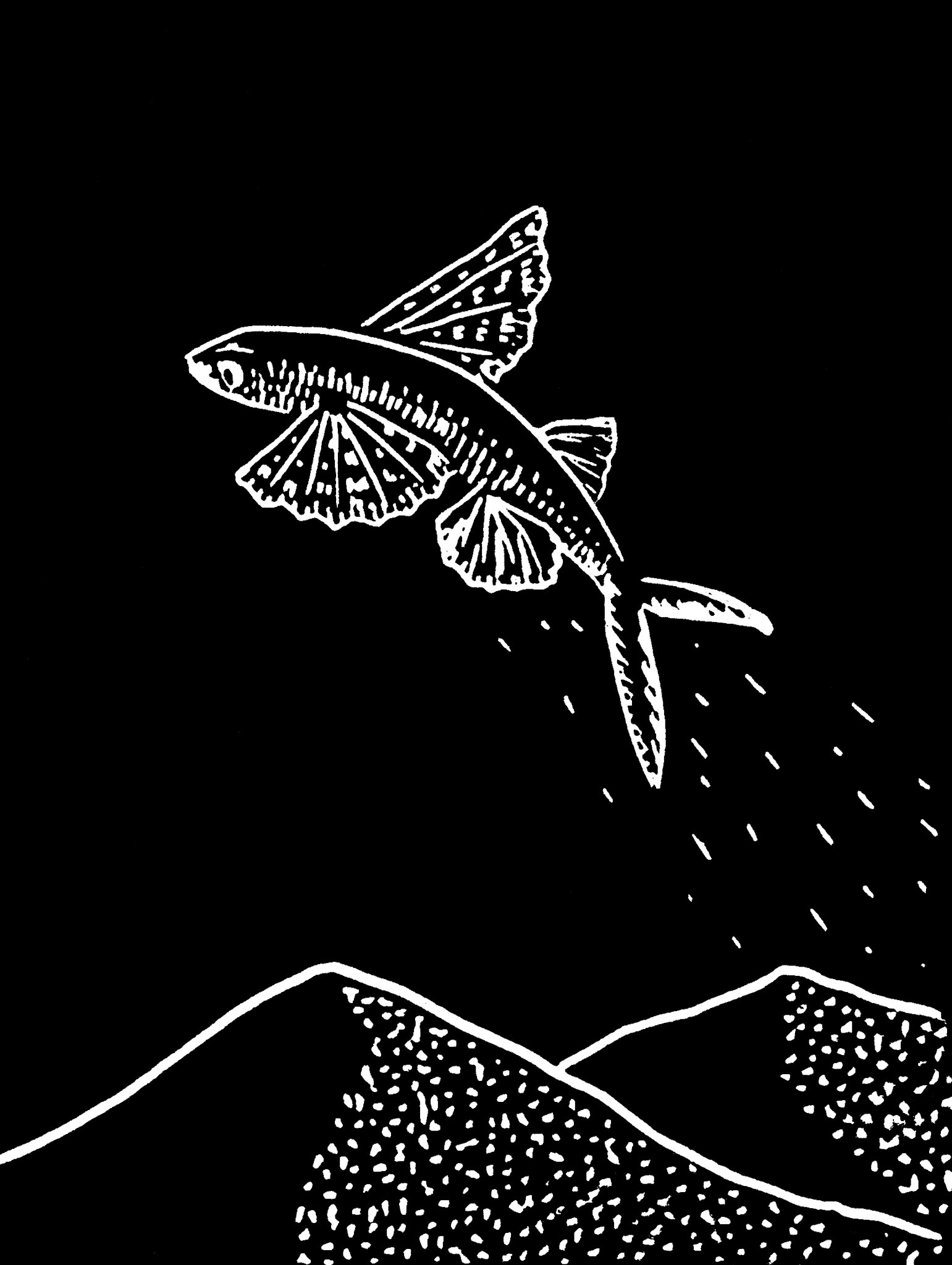 Sans titre, série Desert Night, 2023 - Linogravure imprimée sur papier simili japon, 8,5 x 11,5 cm ©Alexia Atmouni