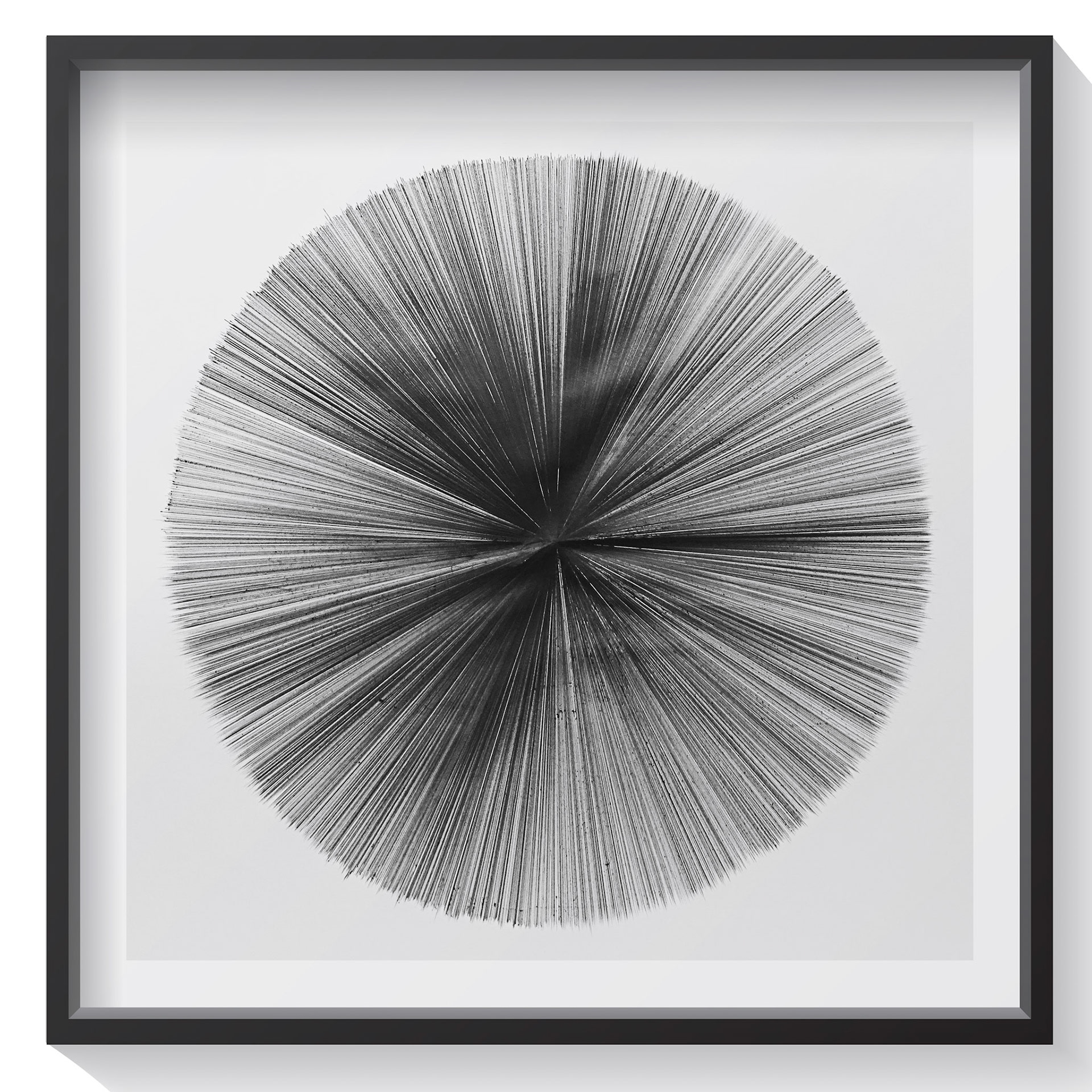Rayons, 2019 90 x 90 cm, stylo bille sur papier © Alexia Atmouni