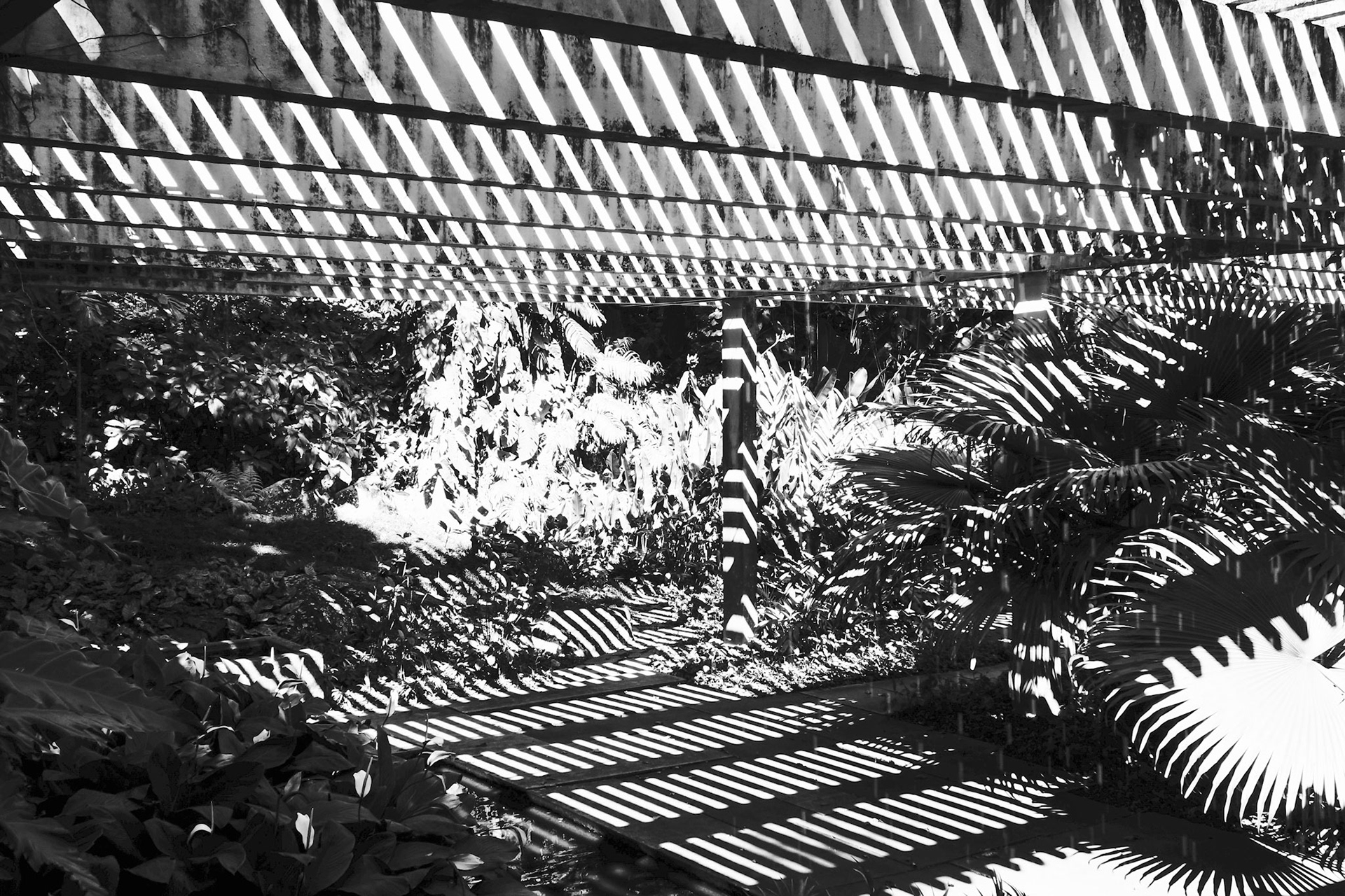 Sítio Roberto Burle Marx - IPHAN, Rio de Janeiro Brasil