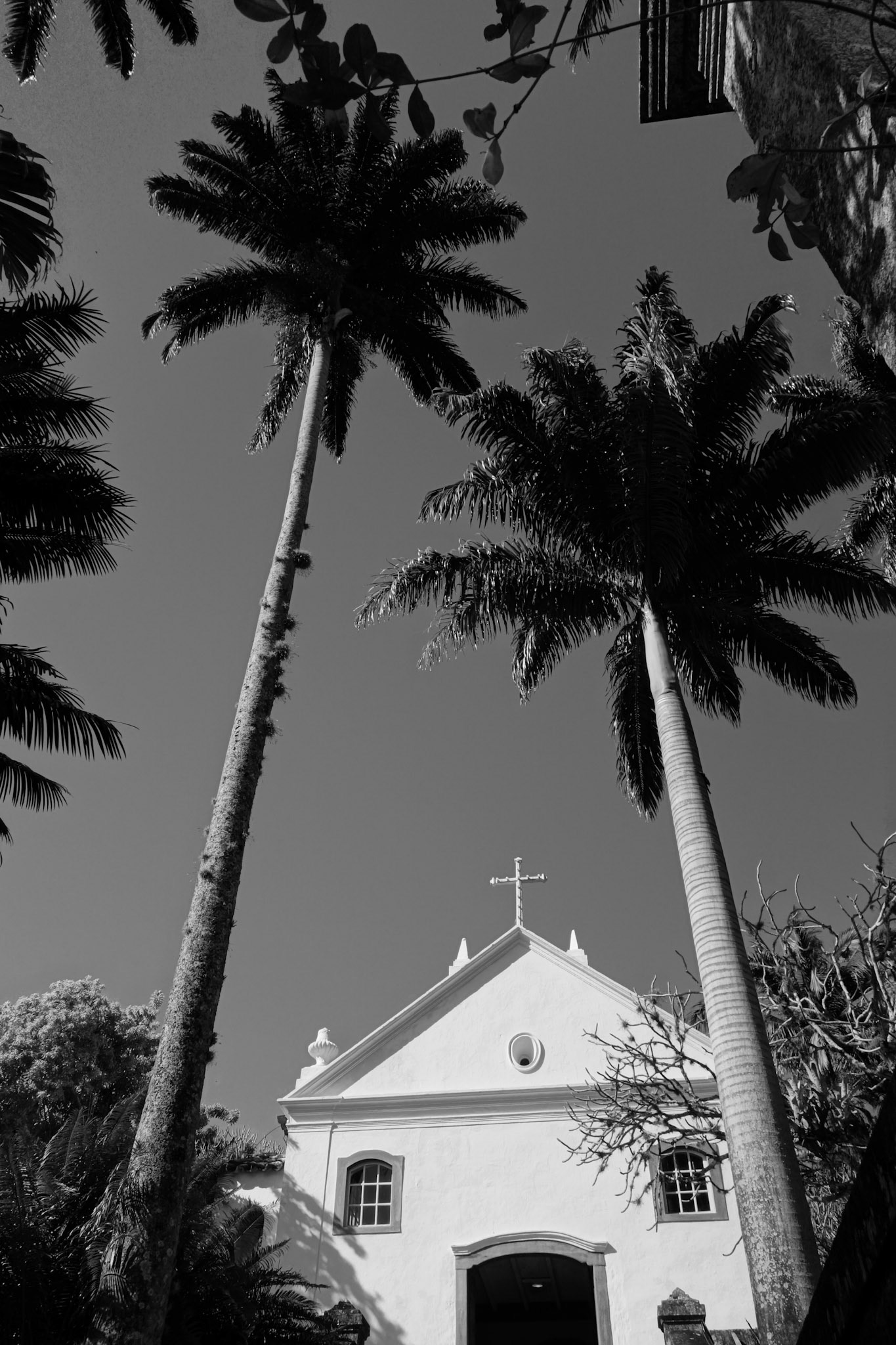 Sítio Roberto Burle Marx - IPHAN, Rio de Janeiro Brasil