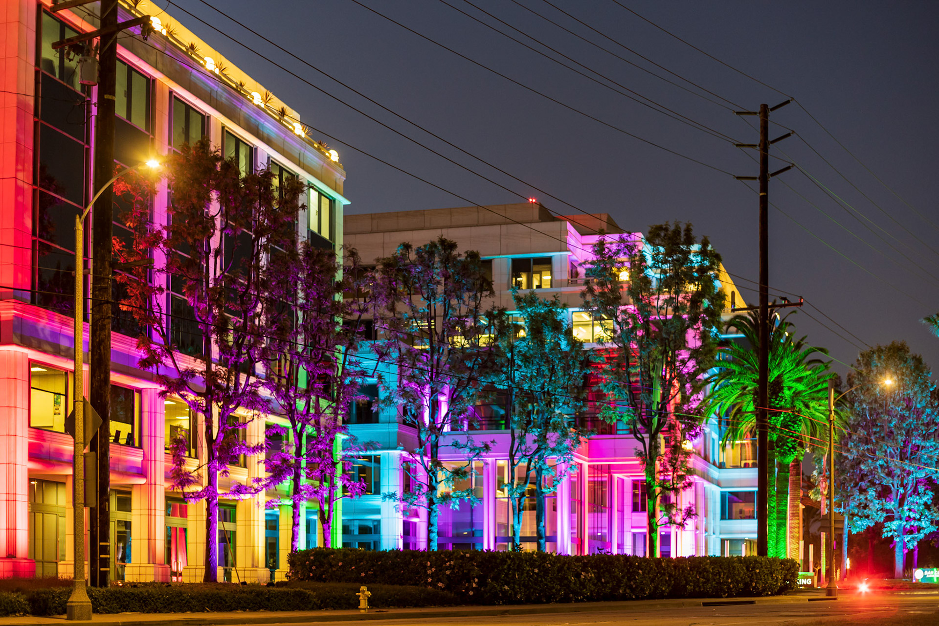 Pride Month Water Garden `LA