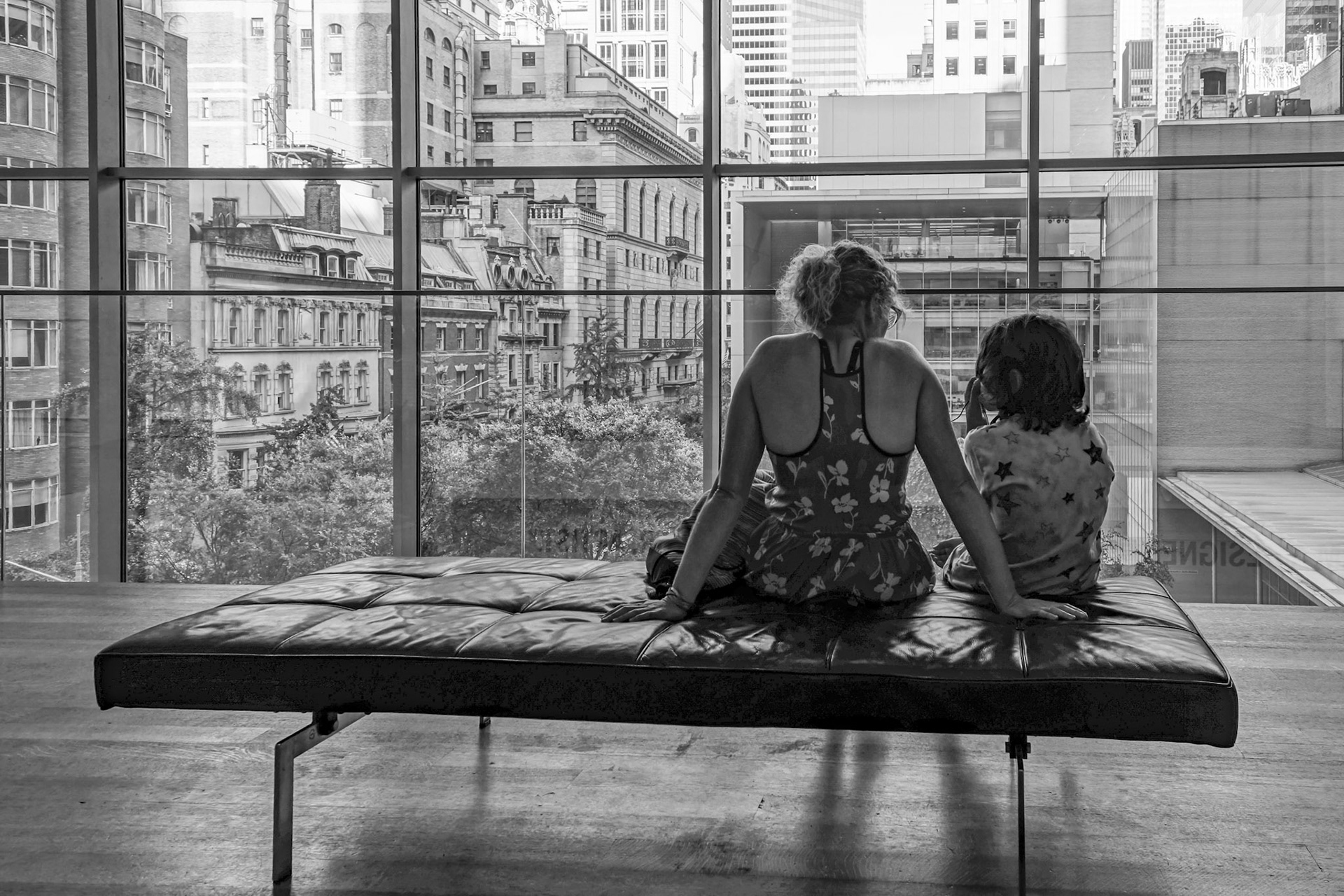 The Museum of Modern Art Experience 2018