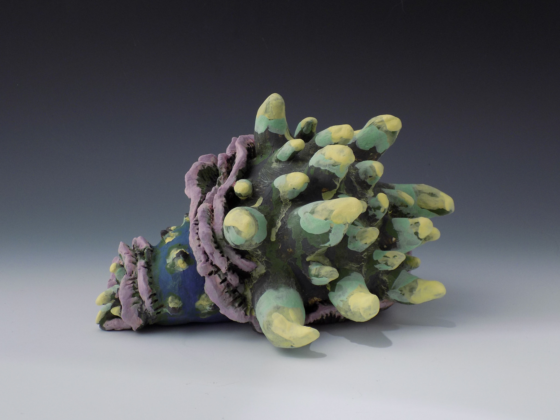 Rhinoceros Cabbage, 2018, ceramic stoneware, black iron oxide, underglazes, 10” x 8.75” x 6.25”