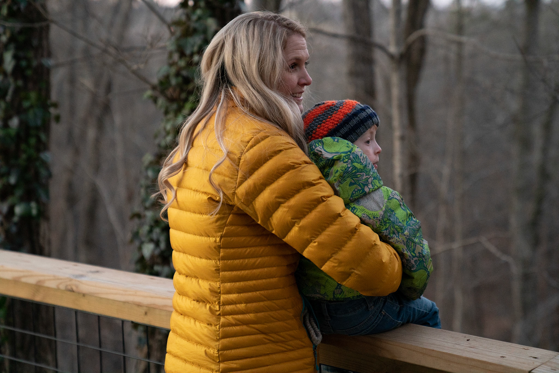 Client: The Tennessee Disability Coalition`