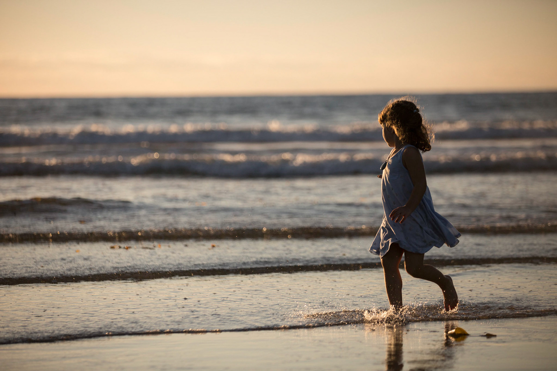 Client: The Lajolla Institute for Immunology