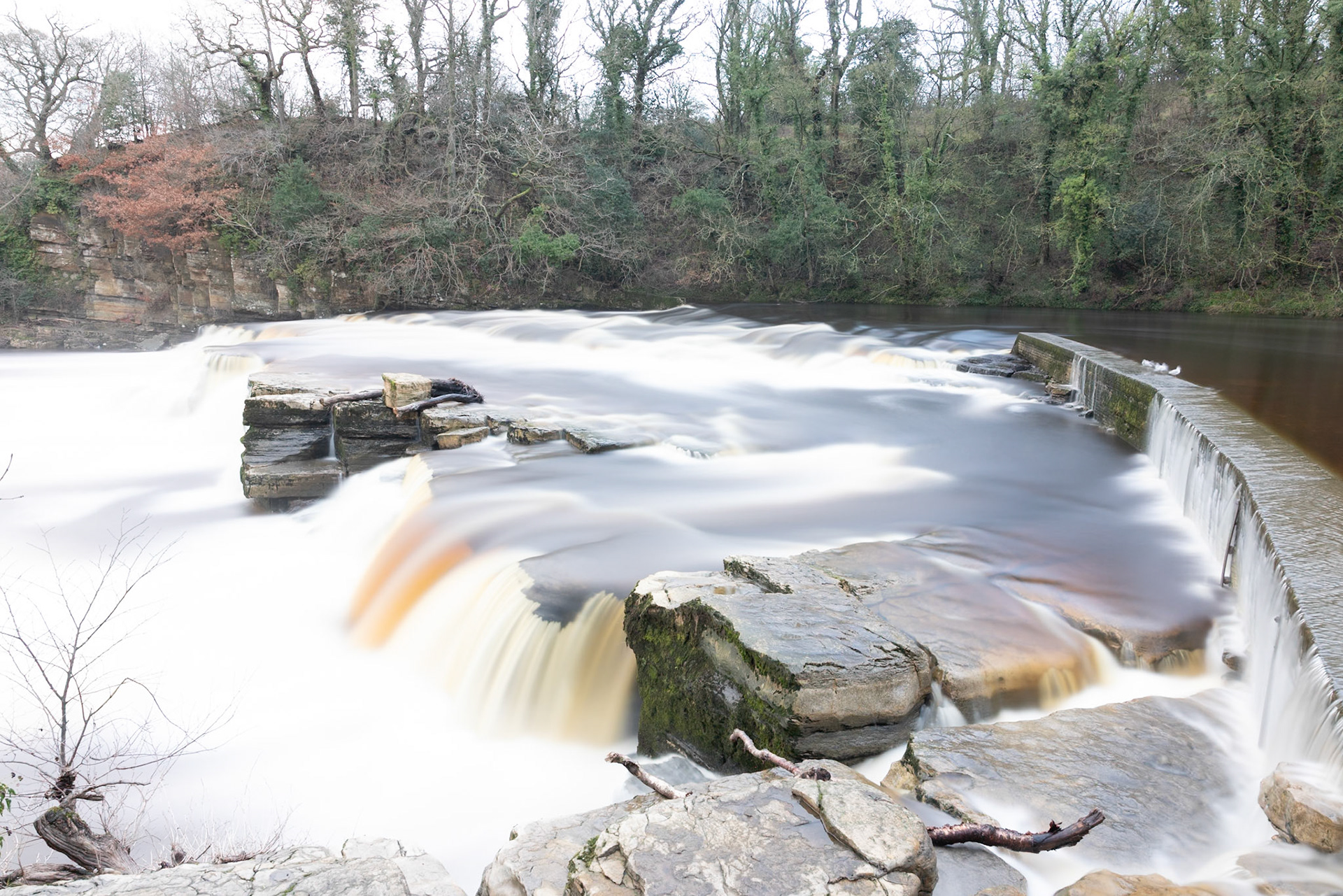 Richmond falls