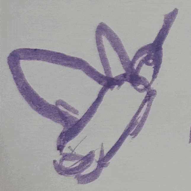 Blueberry Pigment Animation