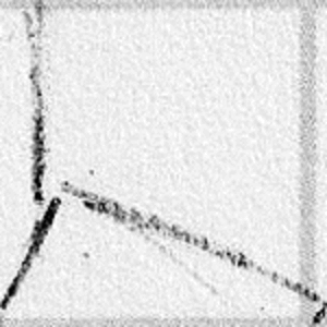 Ballpoint Pen Animation