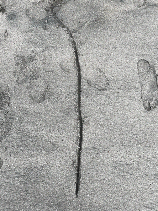 Pixilation Sand Animation