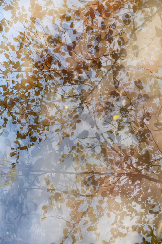 "Life Through Water  2"