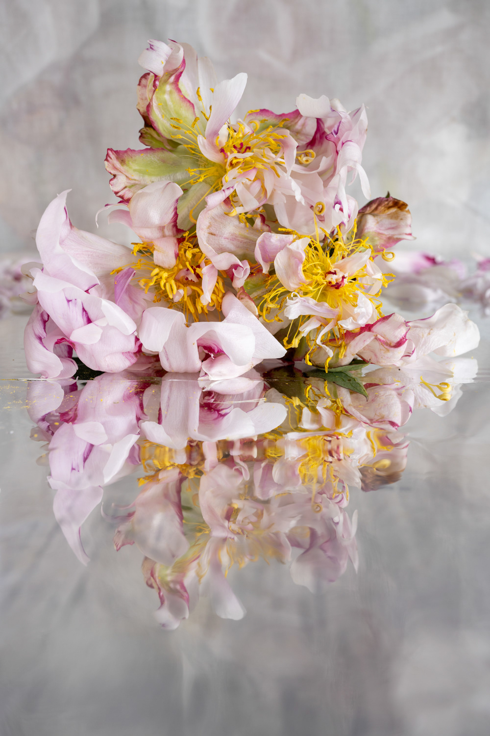Floraburg 1