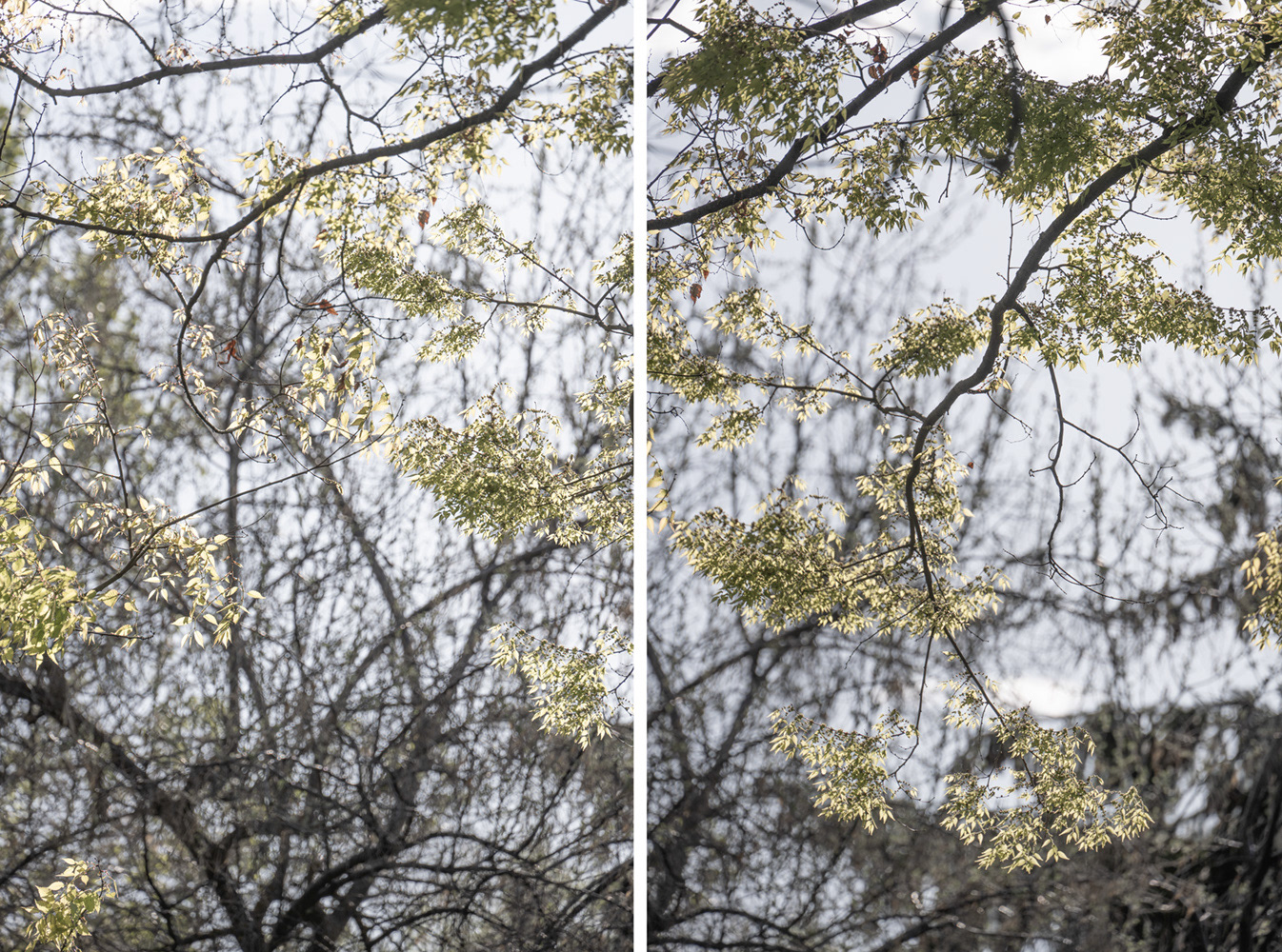 "Endless Possibilities" 