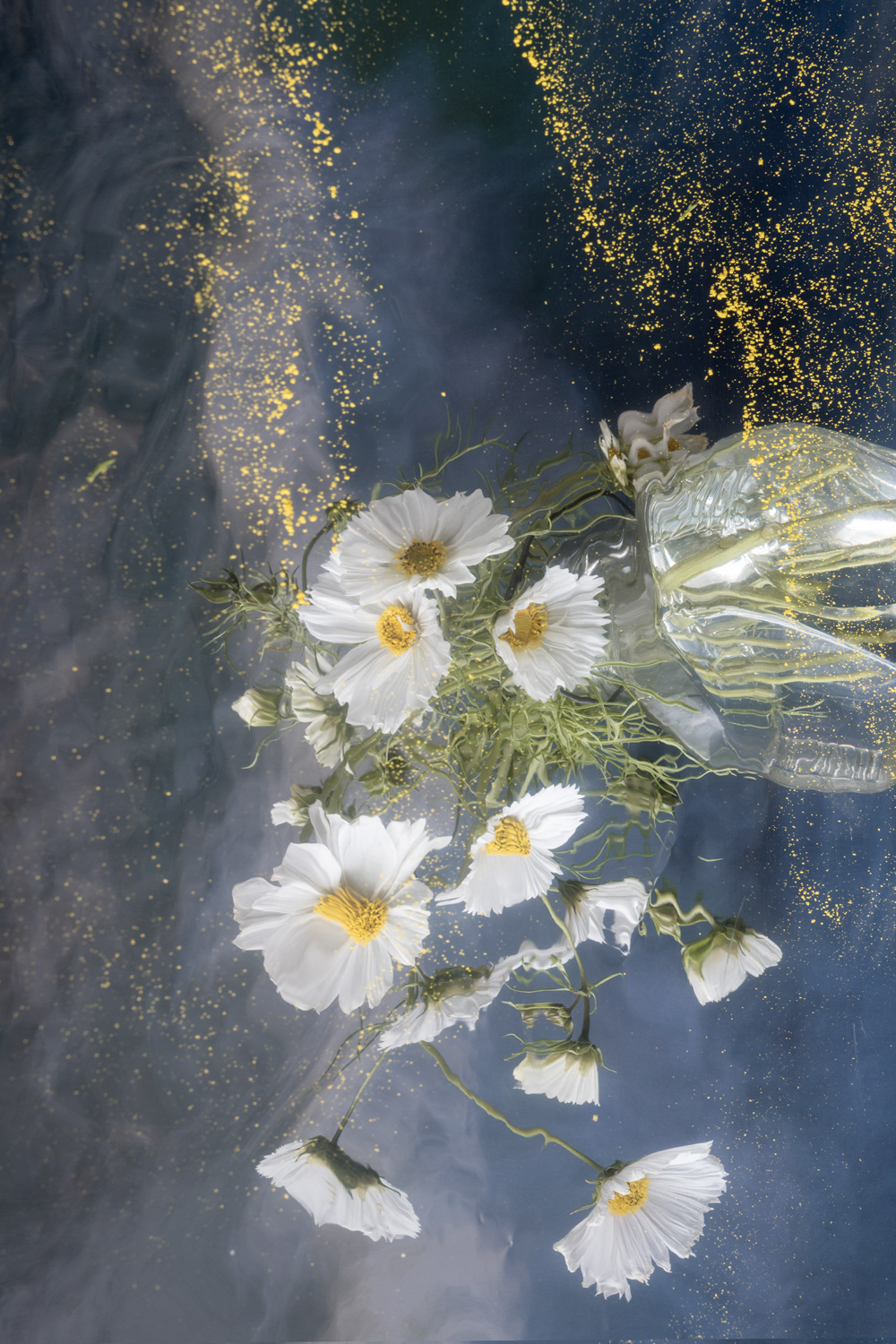 Pollen Storm 2