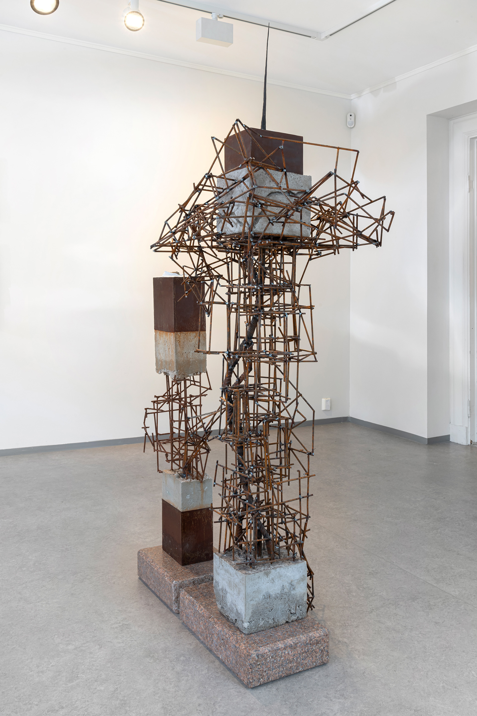 Photo Credits- Øystein Thorvaldsen