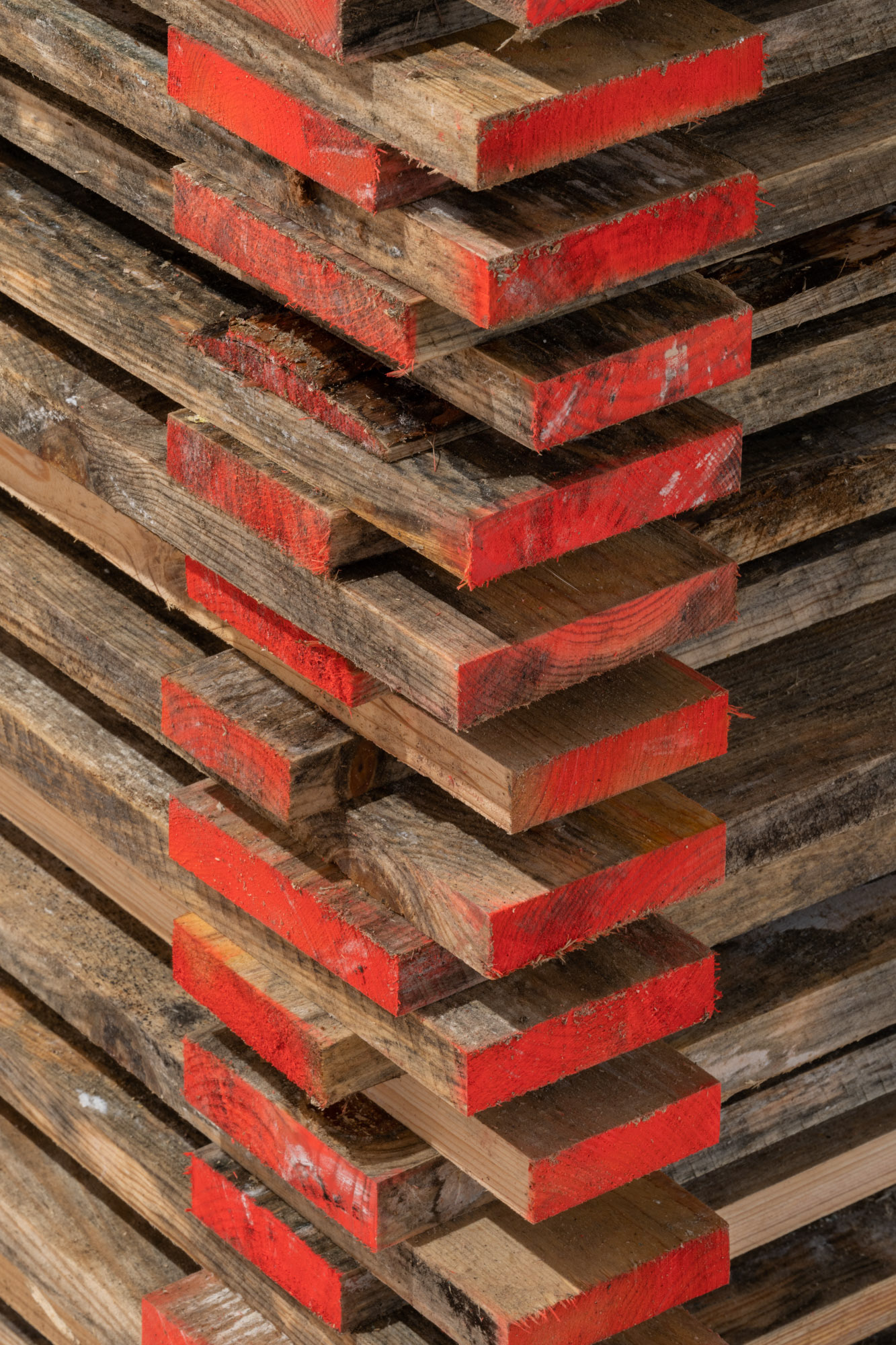 Photo credits- Joao Neves