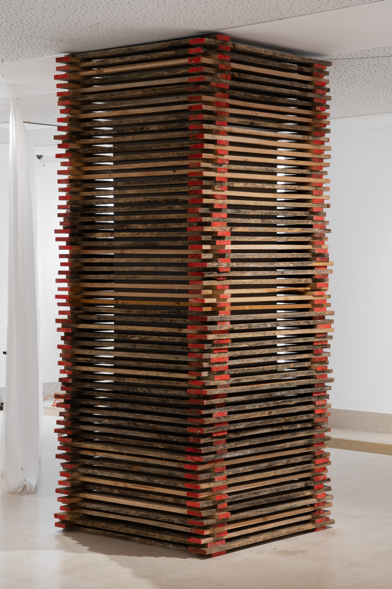 Photo credits- Joao Neves