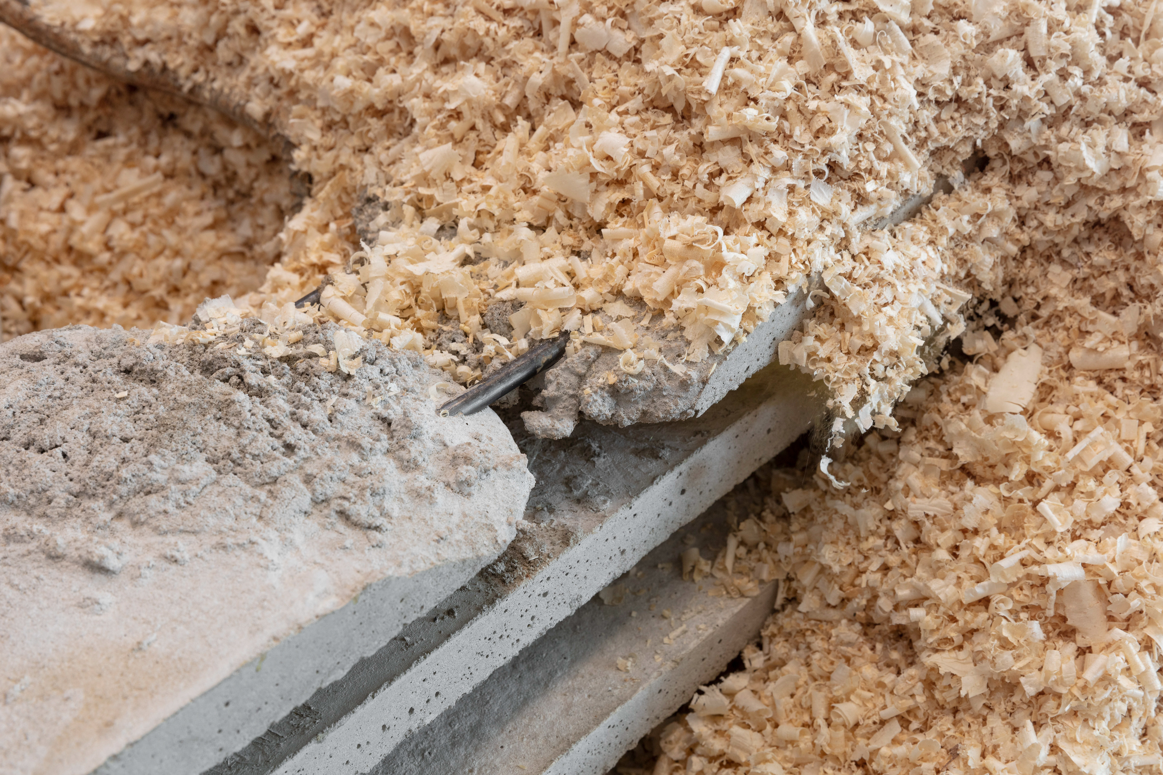  Photo credits- Tor Simen Ulstein