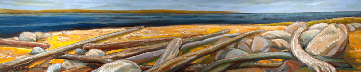 driftwood at ambelside park 12 X 60 PC-- new westminster