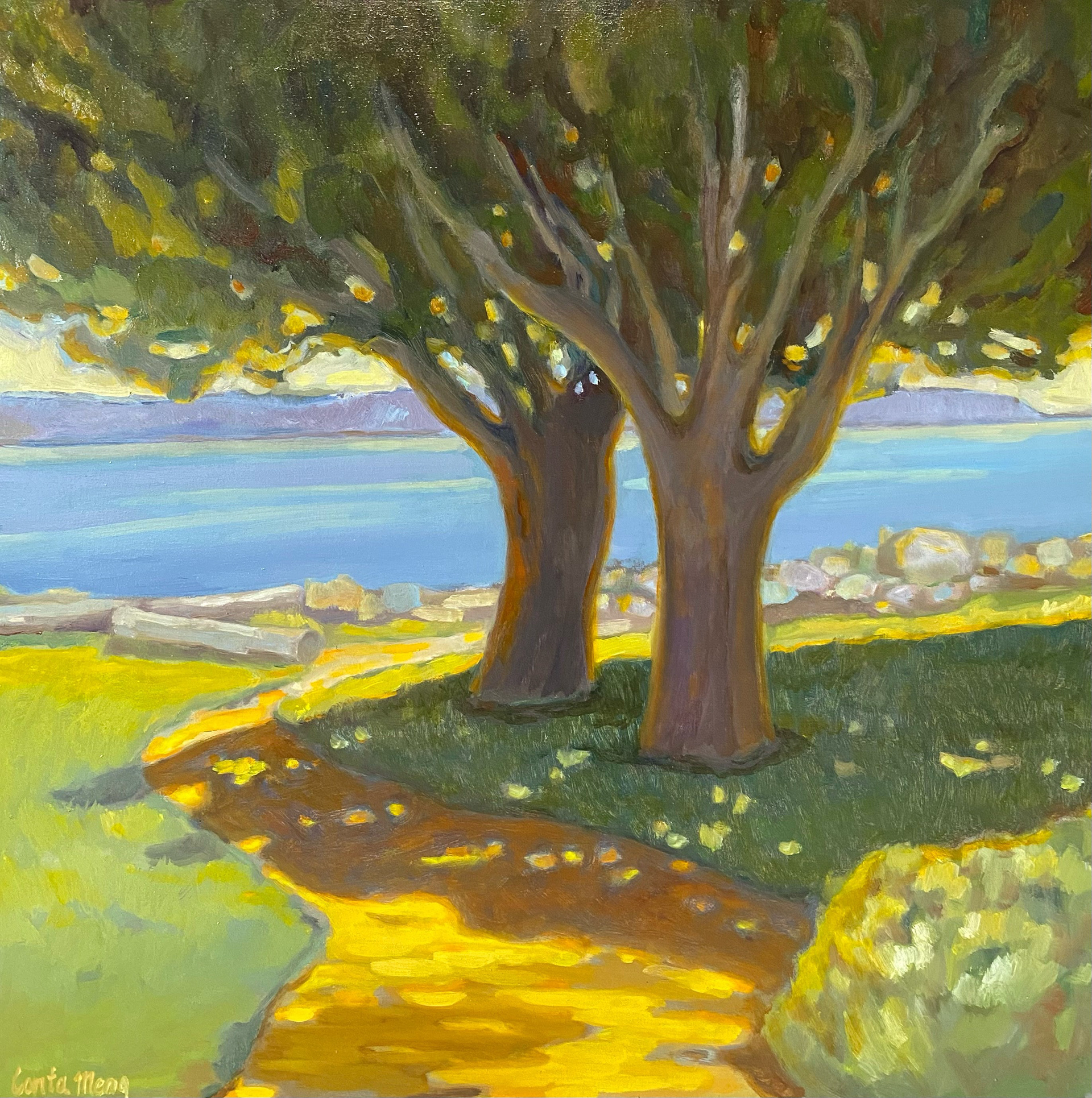 Ambelside Park 30 X 30