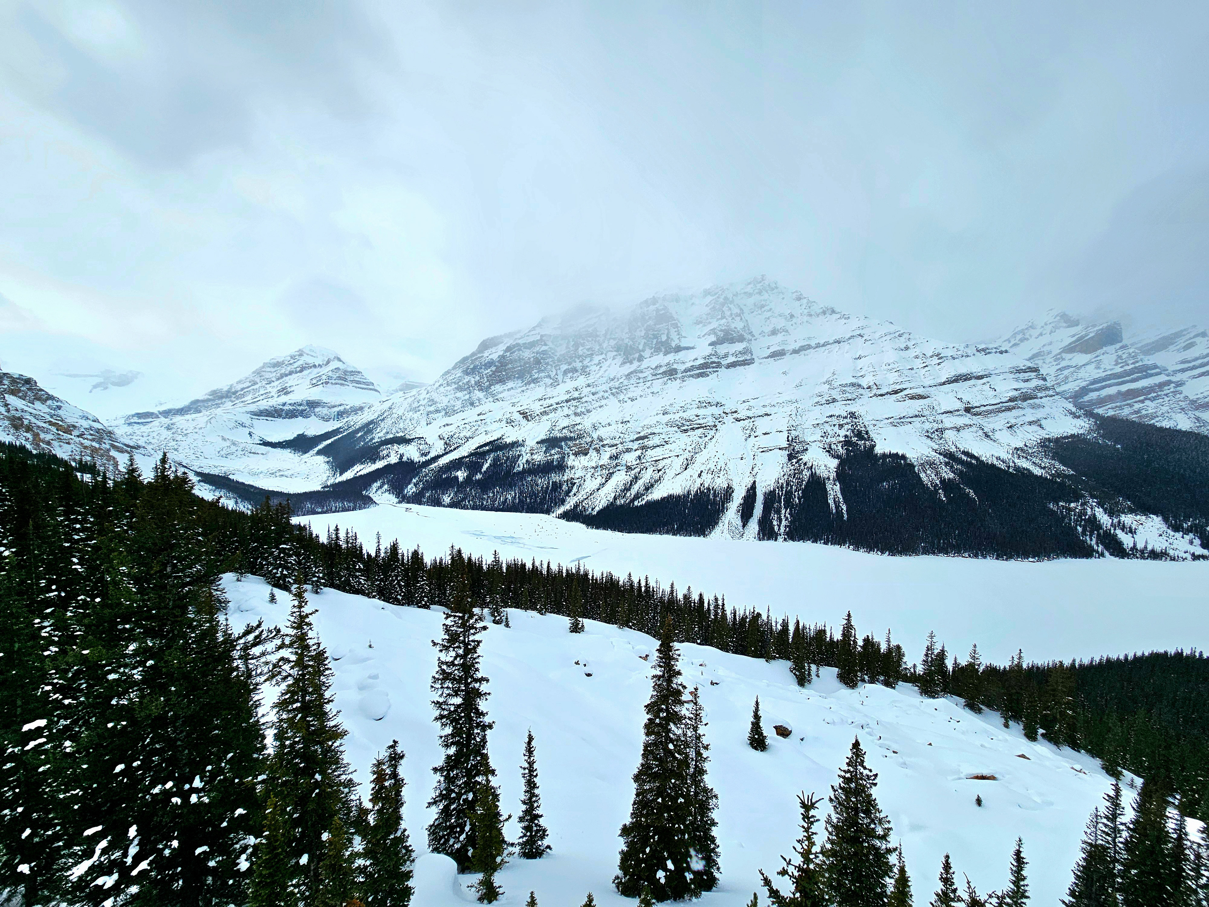 Peyto Lake