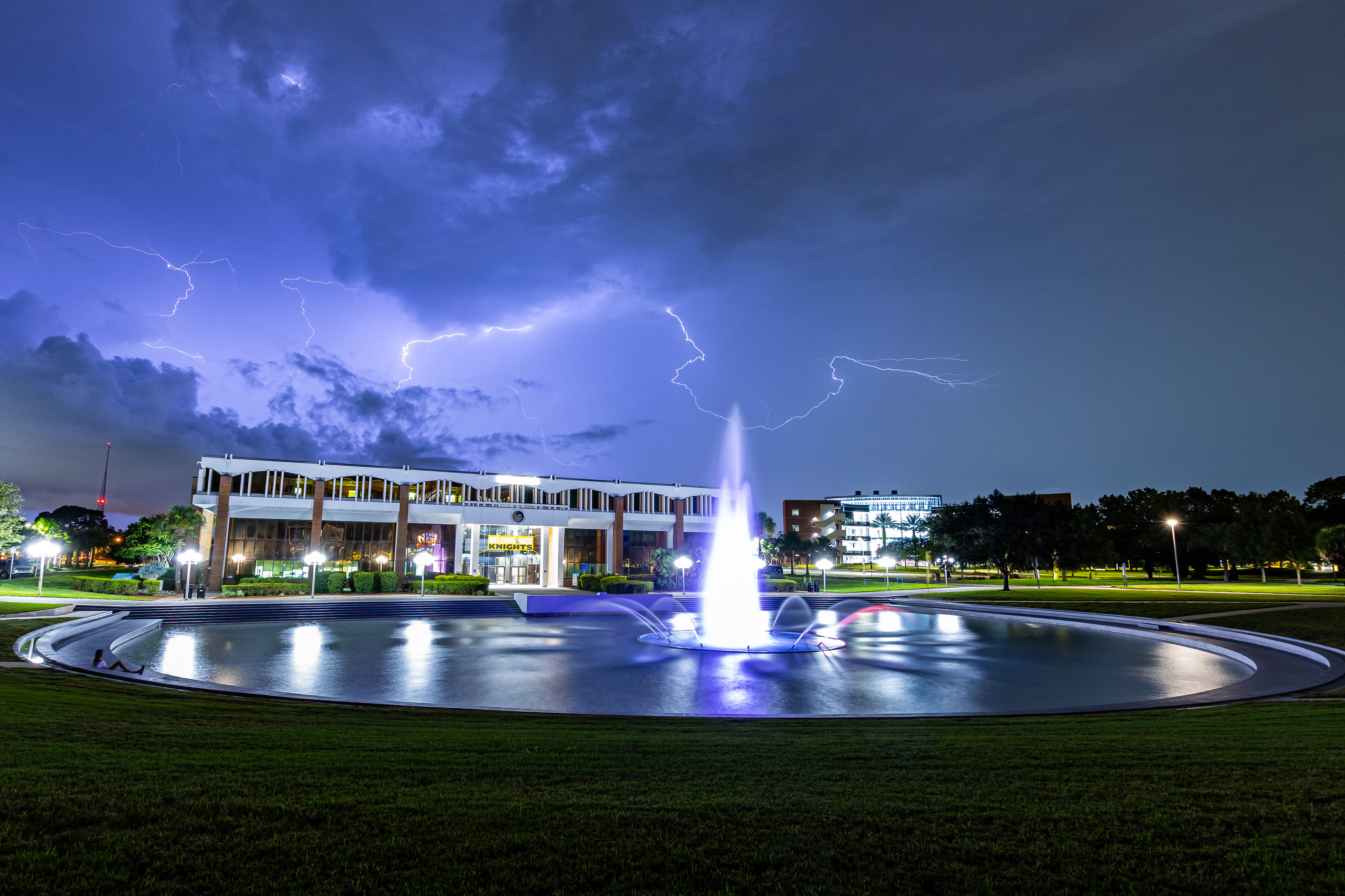 Electrified Reflections