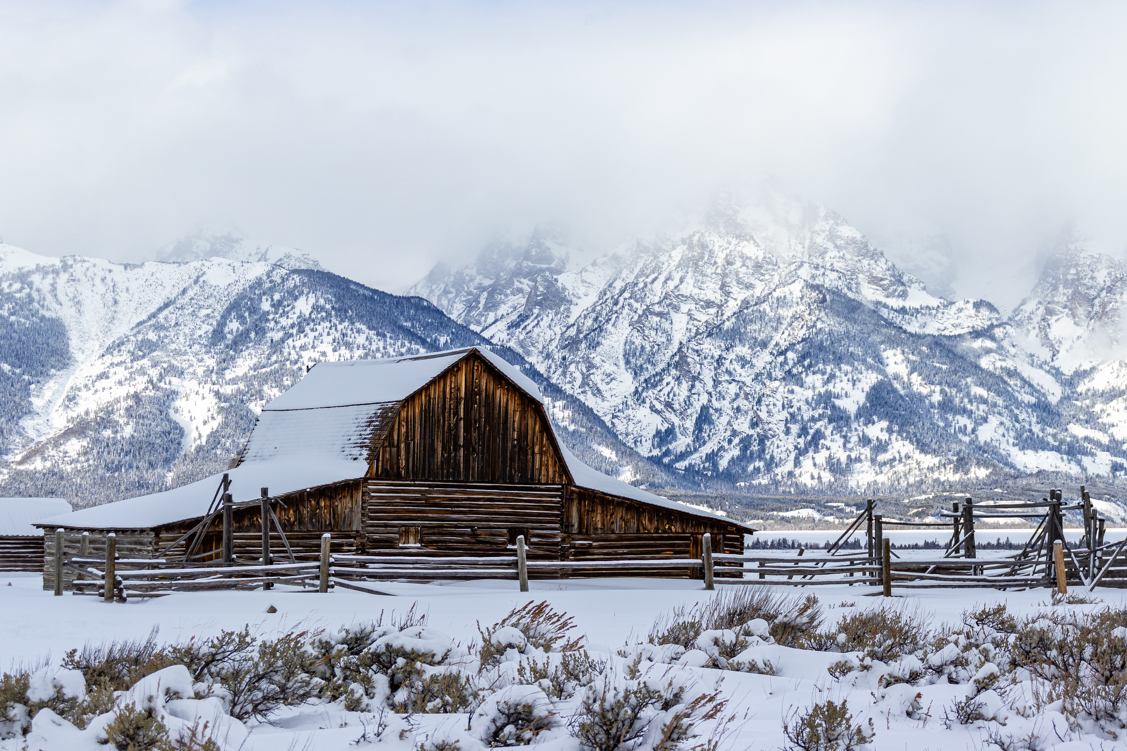 Mormon Row // Teton Range