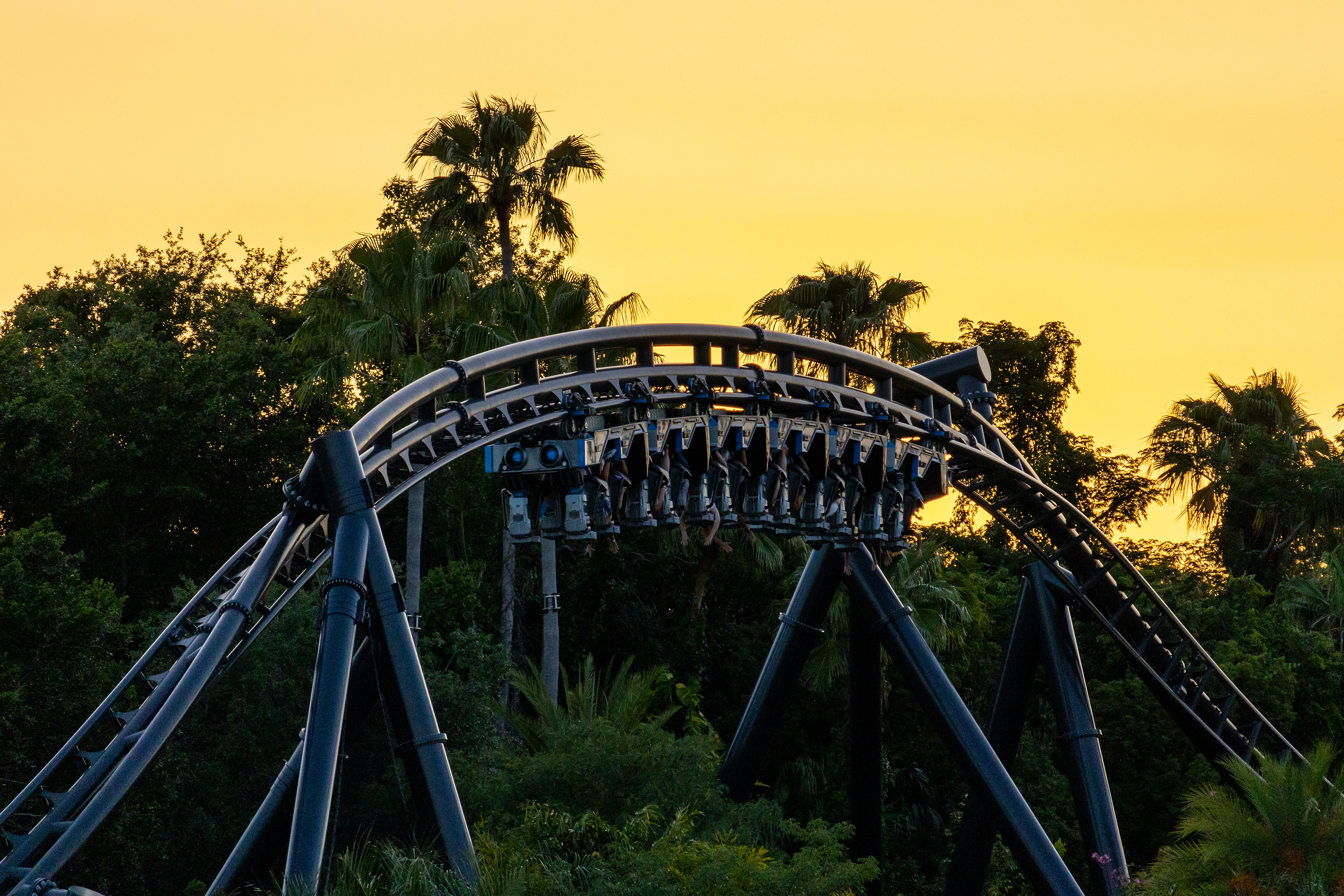 Velocicoaseter Golden Hour II