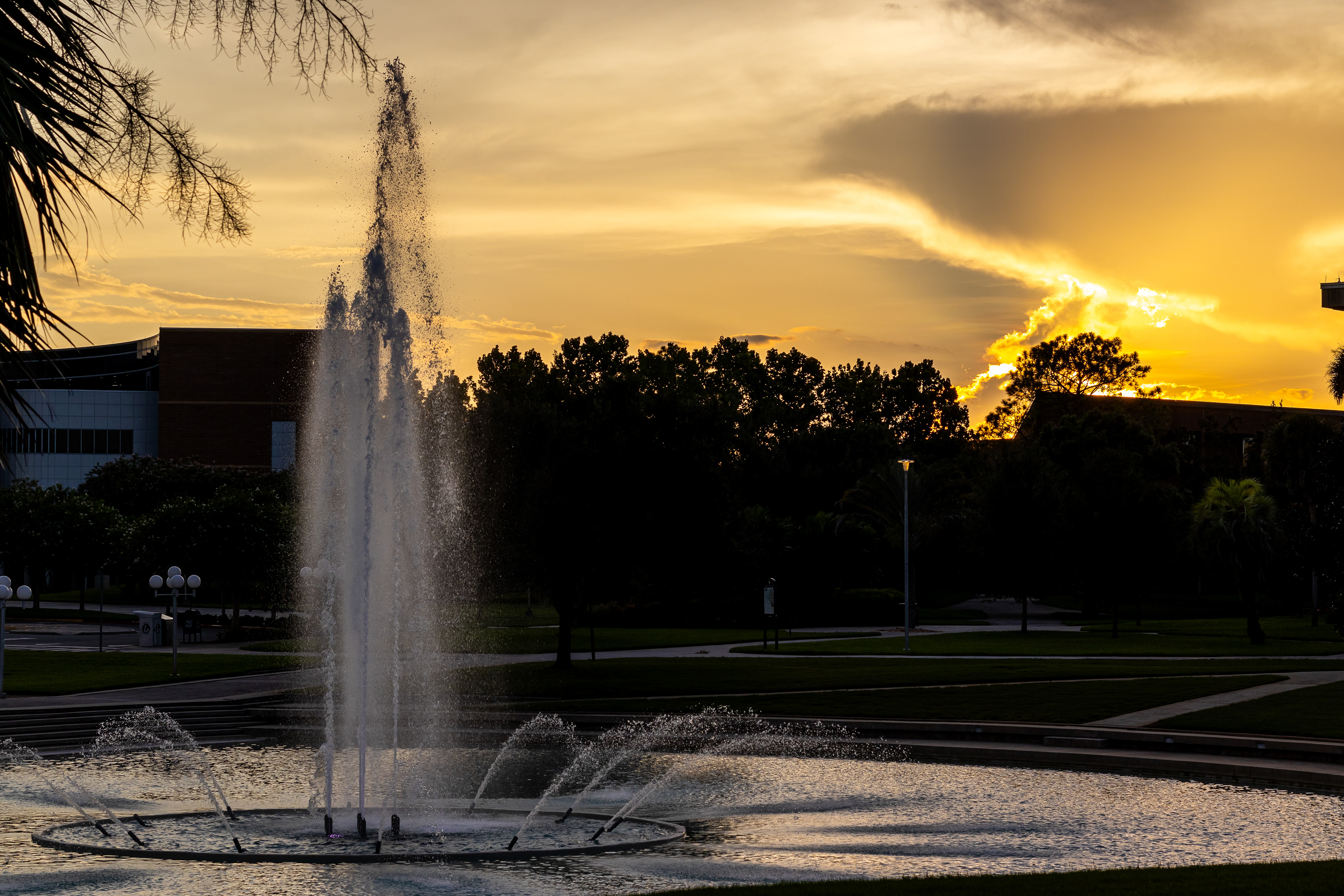 SAL Fountain Sunset