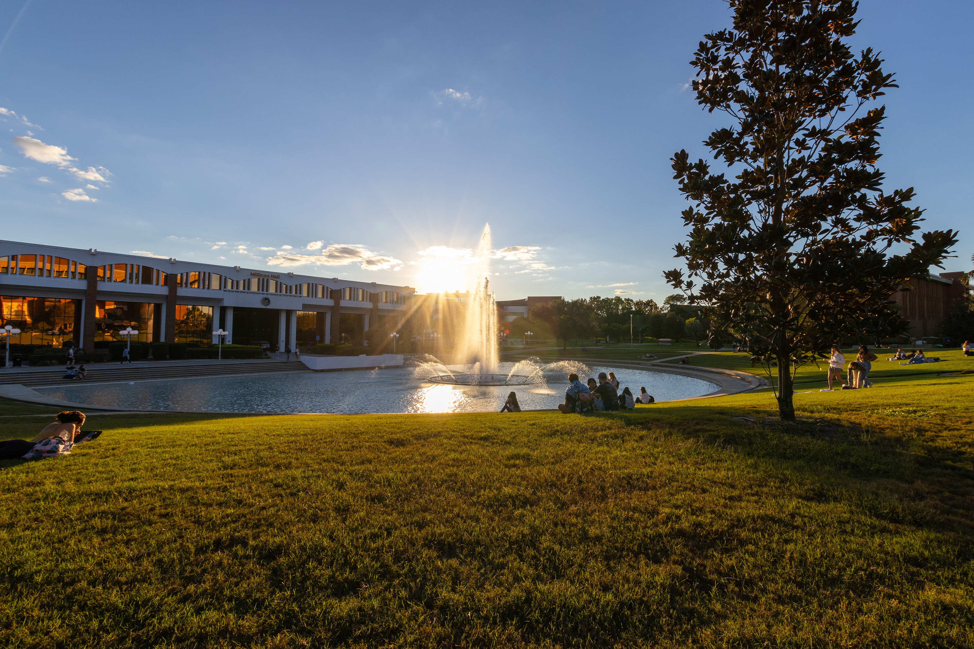 Reflect // Golden Hour