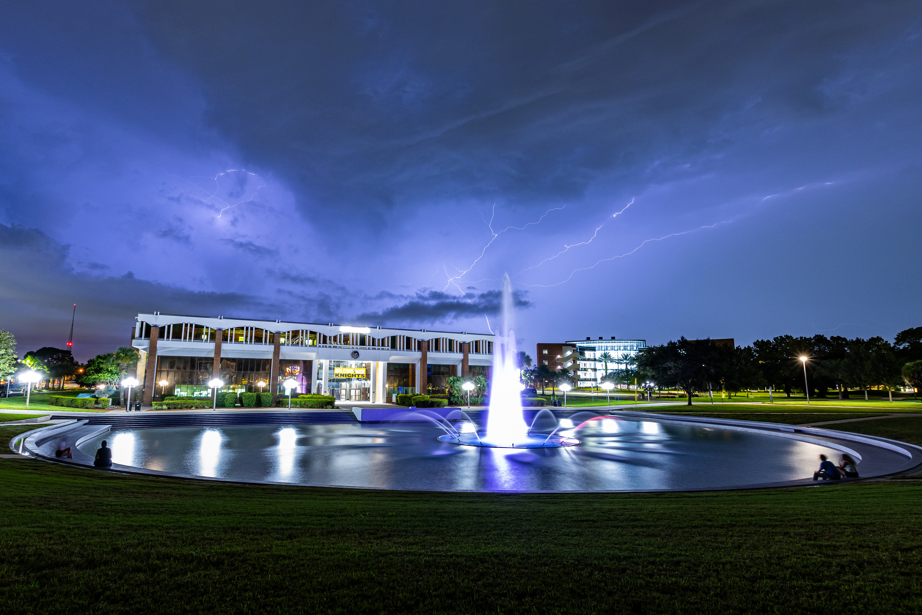 Electrified Reflections