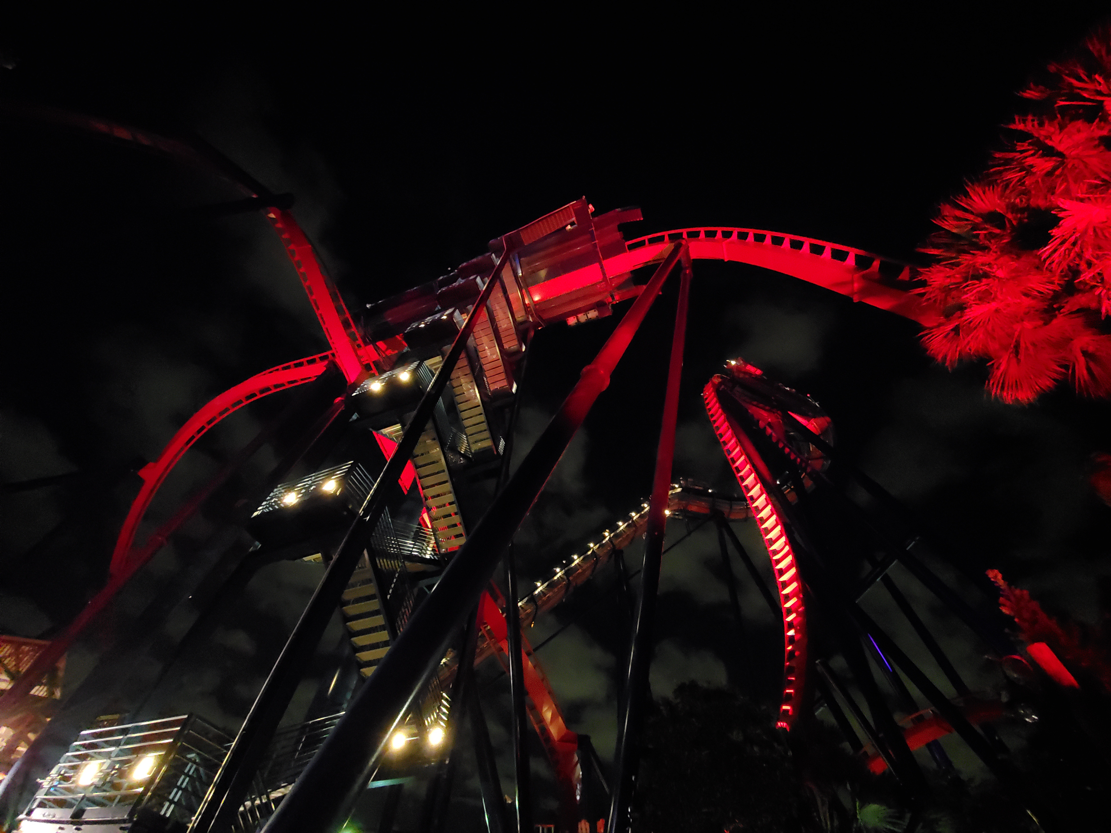 Glowing Sheikra