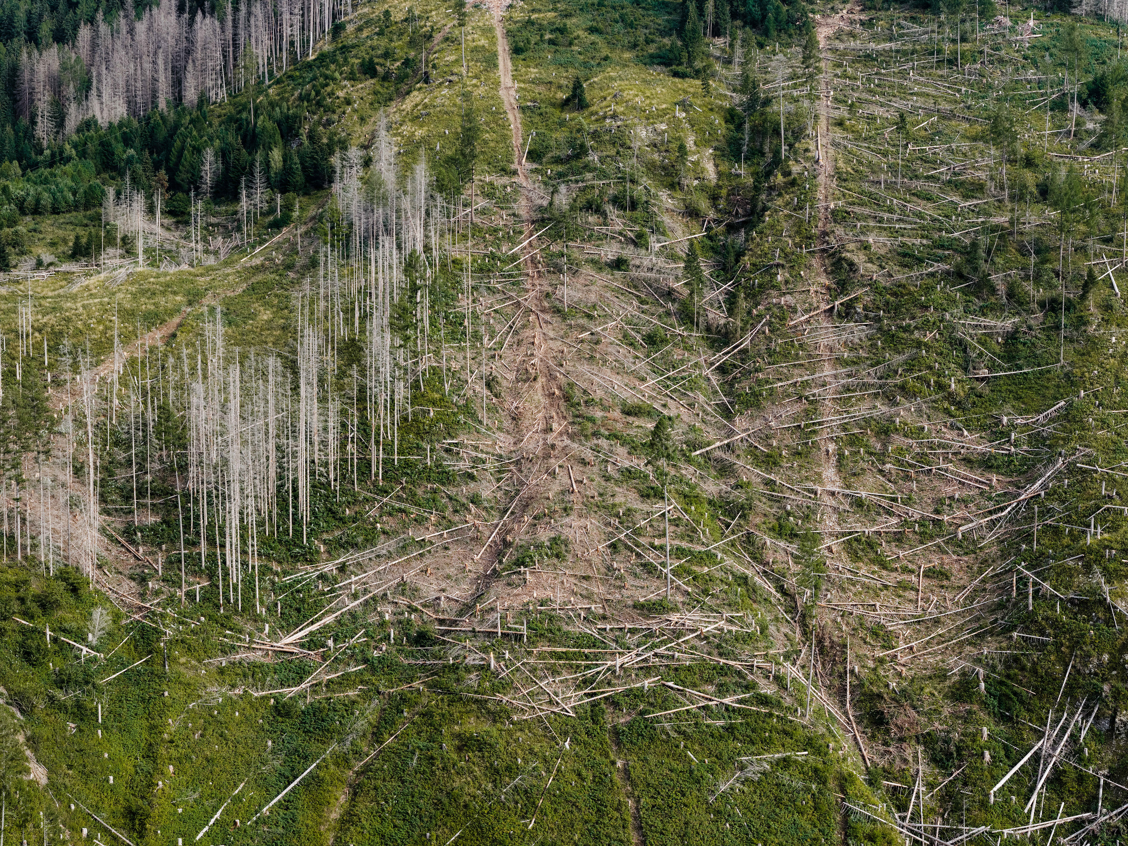 Fiemme valley, Trentino