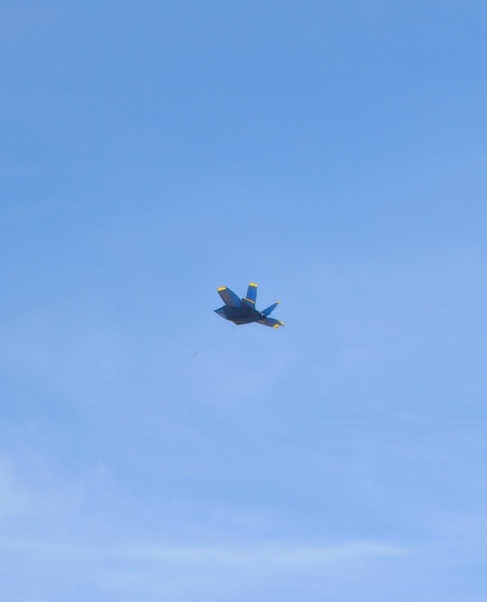 Kite (looks like a jet)