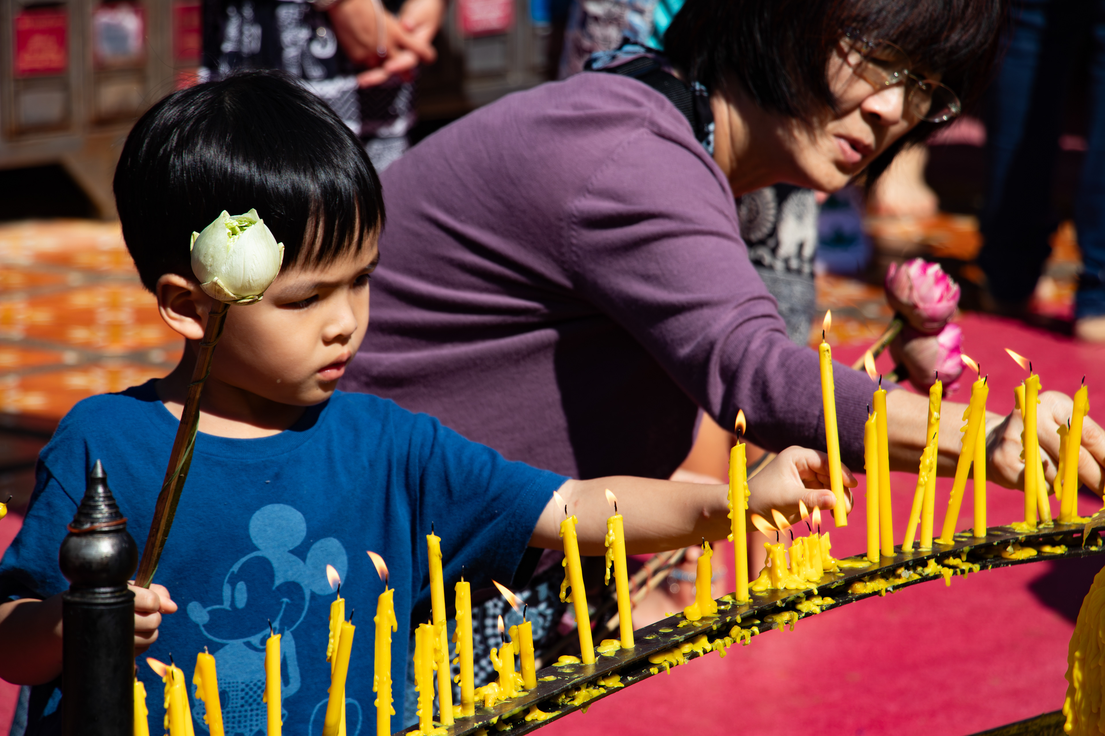 Velas (sabiduría) y flores de loto (pureza), símbolos sagrados de los rituales budistas, Tailandia