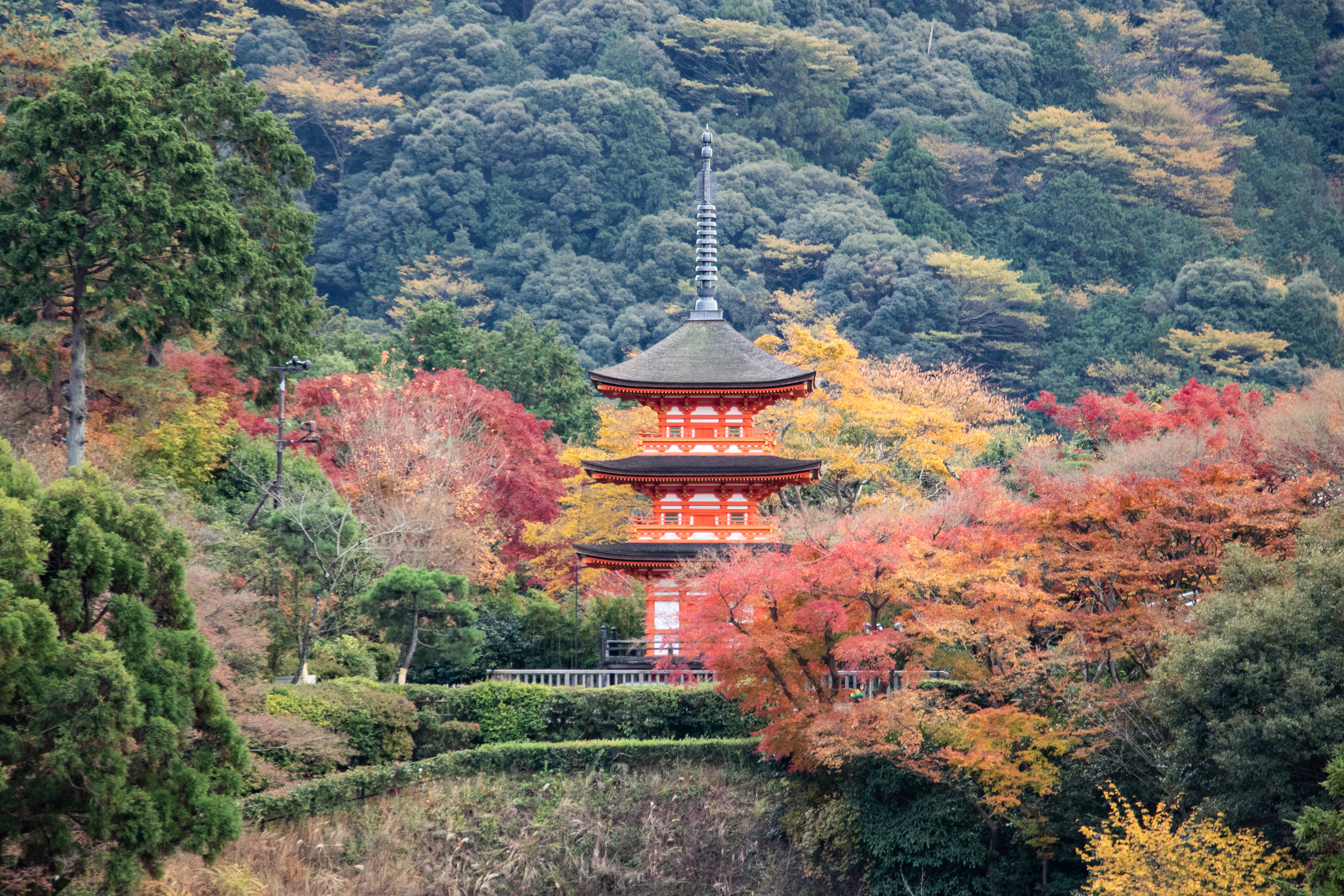 Templo Kiyomizu-dera, Higashiyama, Kioto, Japón