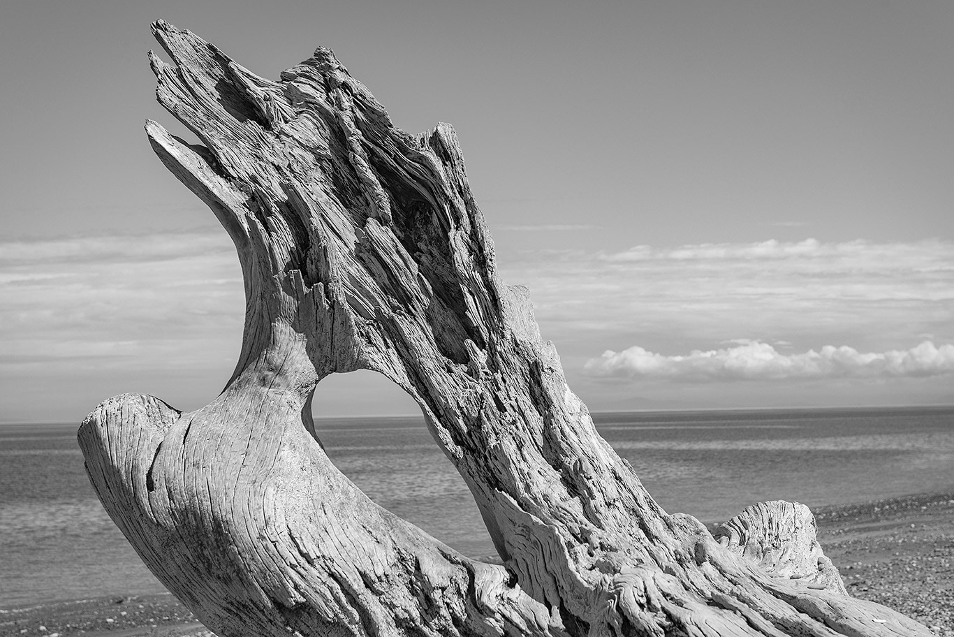 Dungeness Spit Sequim WA