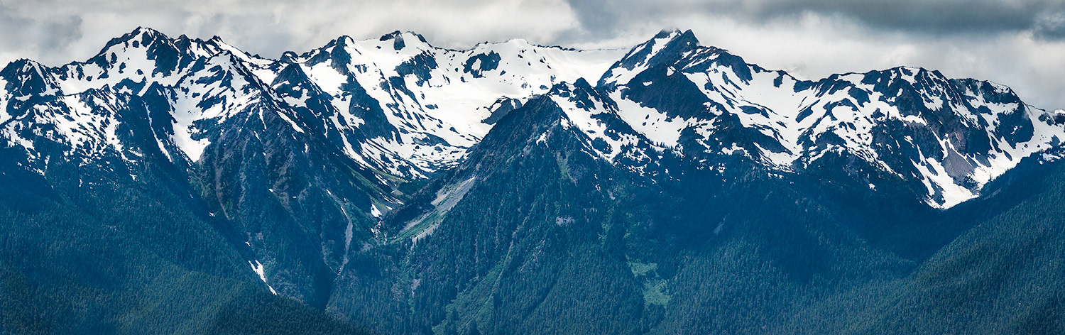 Hurricane Ridge Olympic NP