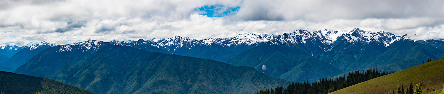 Hurricane Ridge Olympic NP
