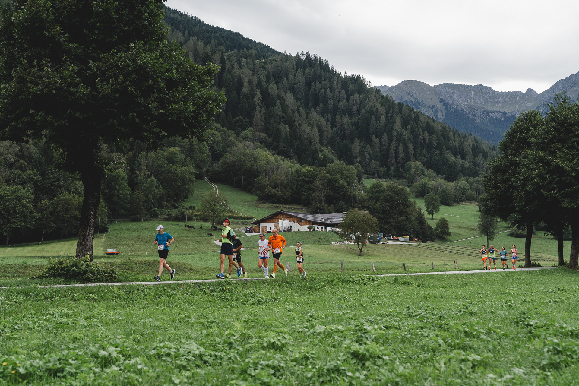 Dolomitica Run Gara Podistica Pinzolo