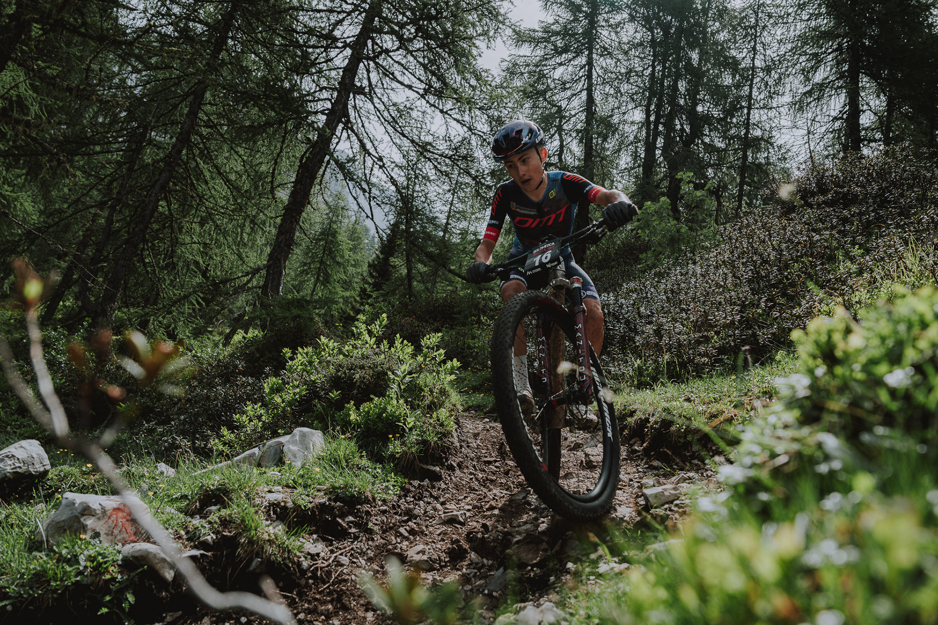MTB Dolomitica Brenta Bike Campiglio