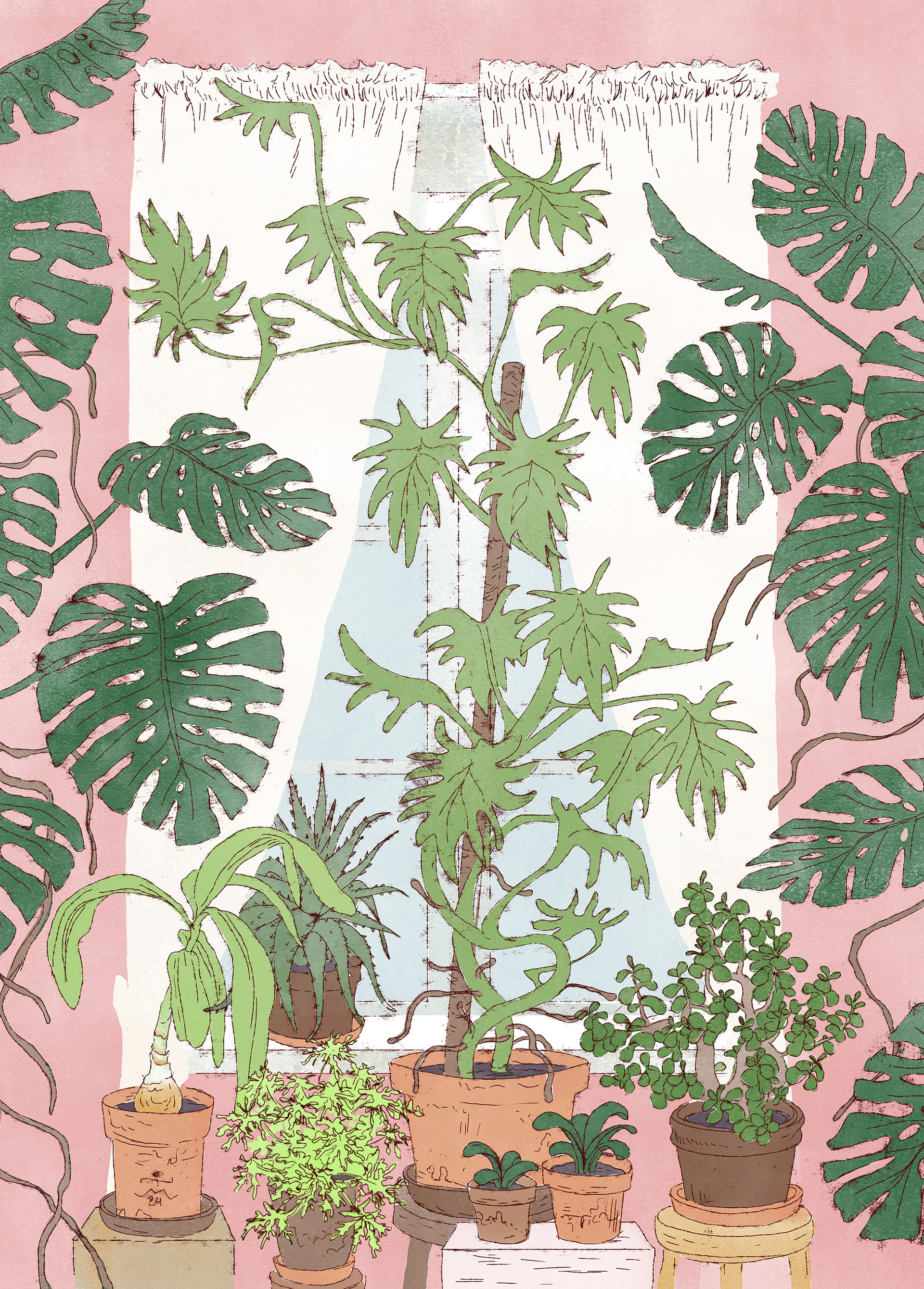 Fredrika´s window