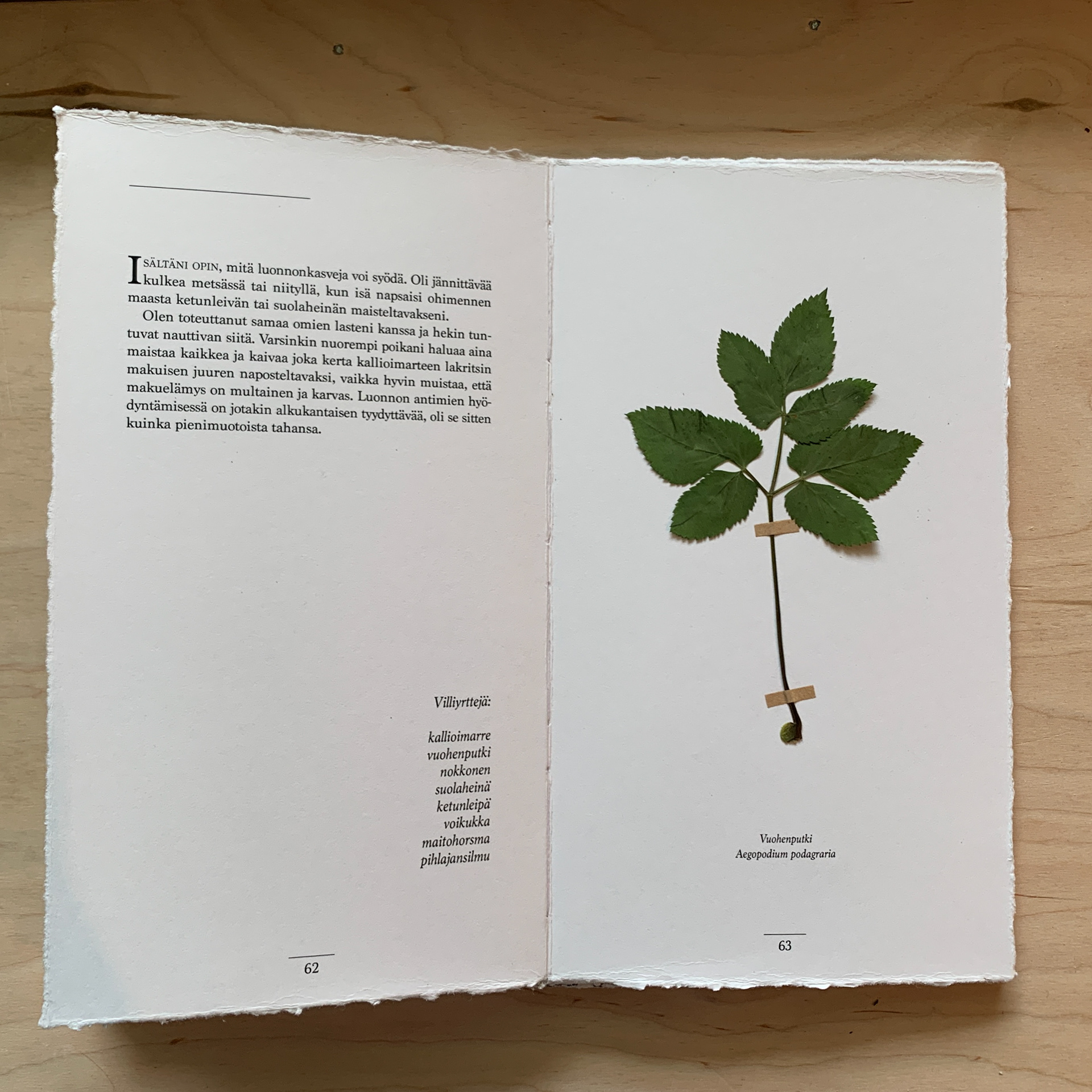 Dried plant
