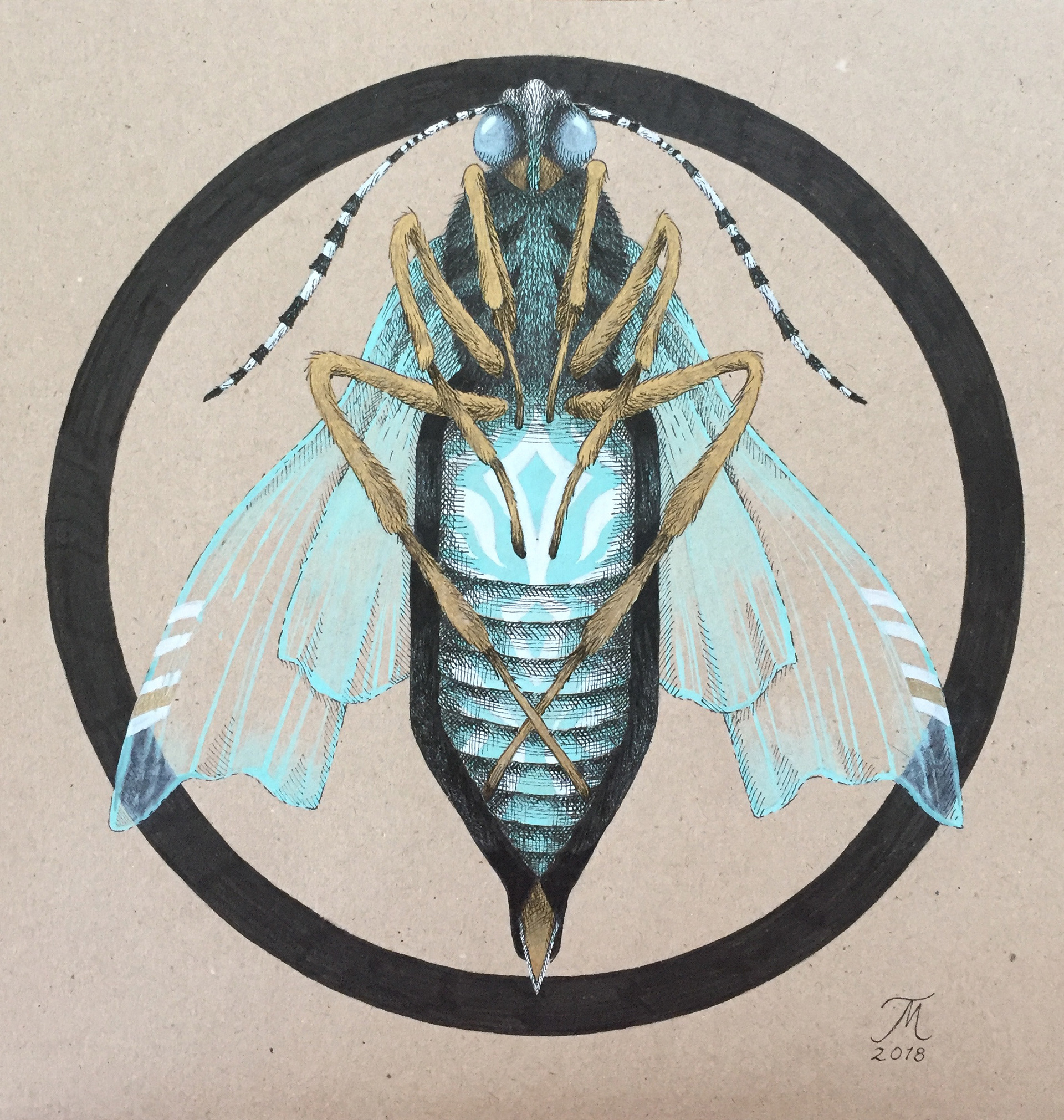 Hyvät kuolevat sisäänpäin, 24 x 25 cm, 2018