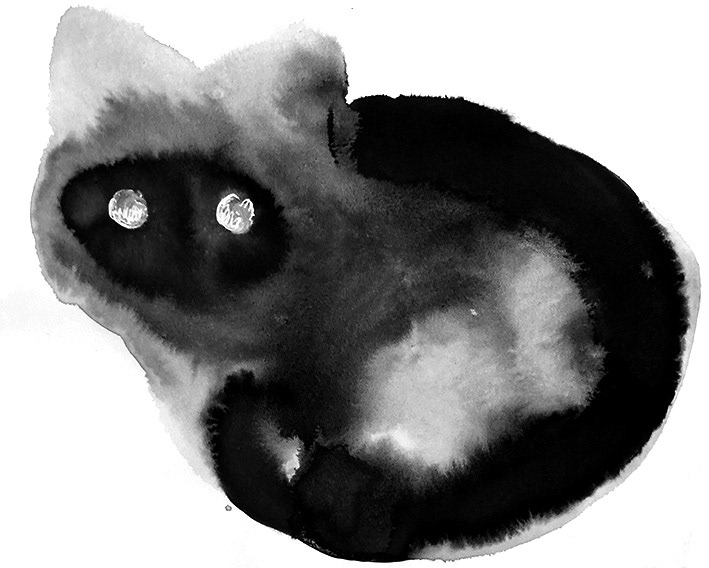 Kissa II, muste, 2021