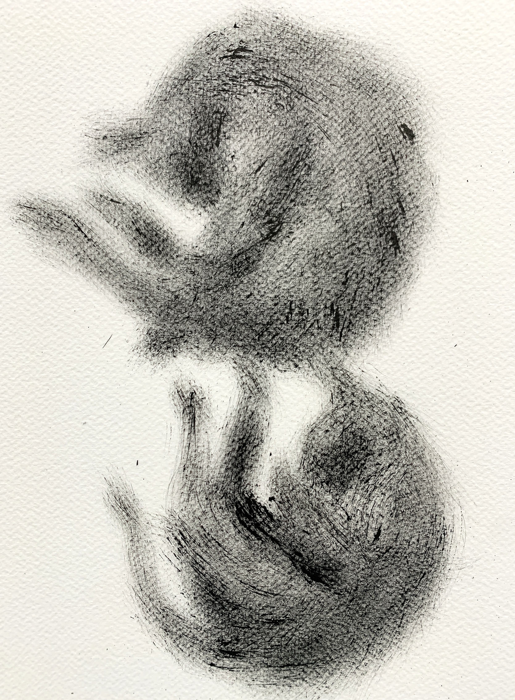 Haiku ja Hapsu, ink drawing, 2024