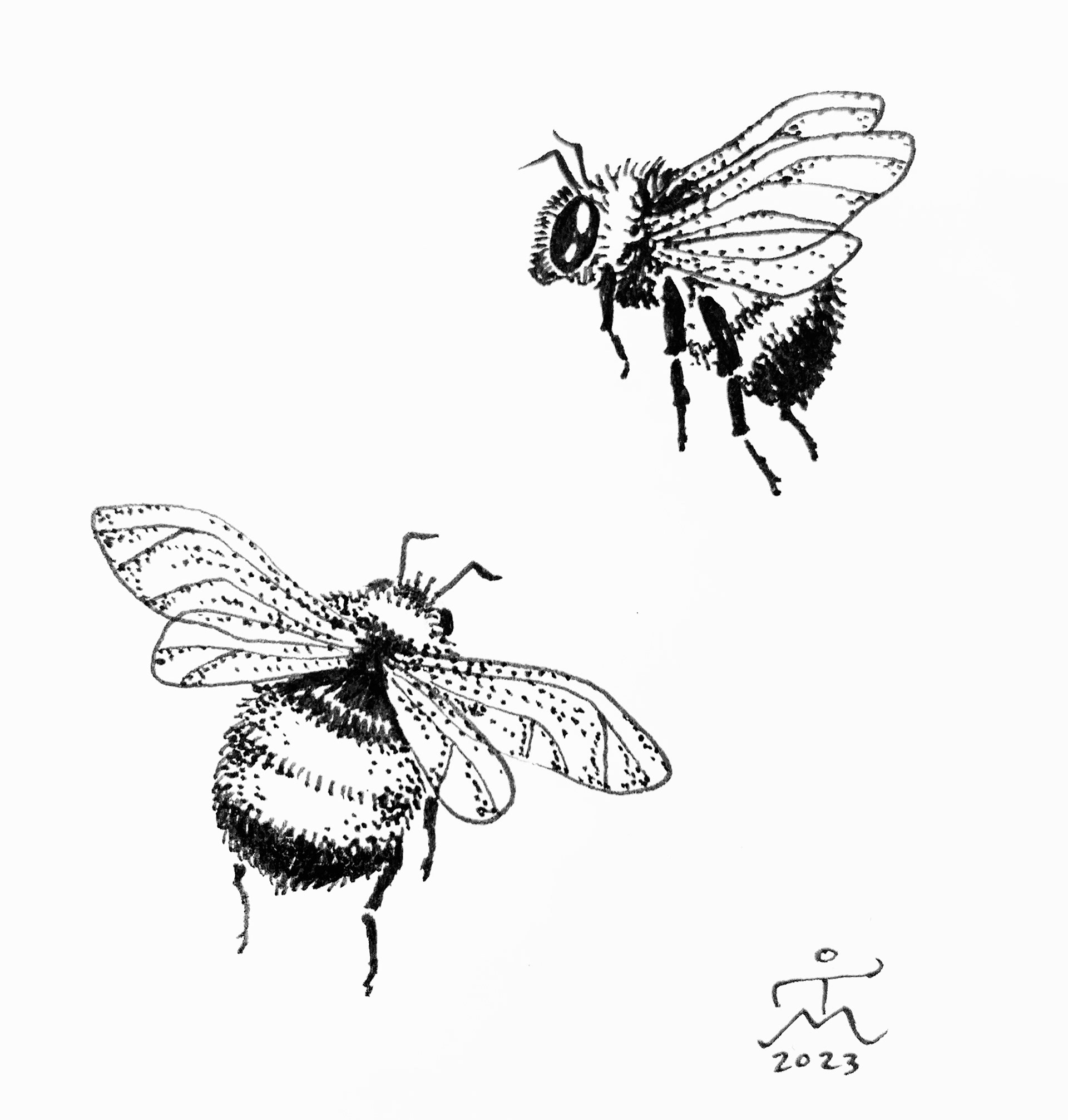 Vines and bees, illustration for tattoo, 2023