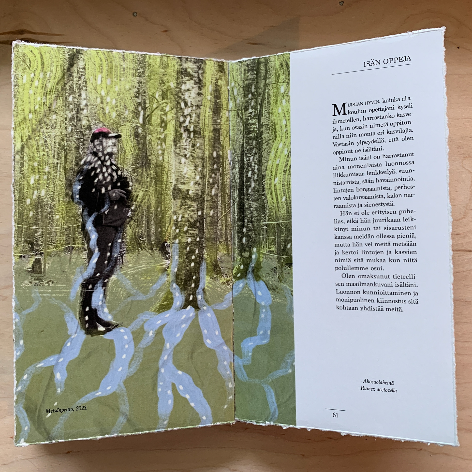 "Covered by the Forest", 2023"