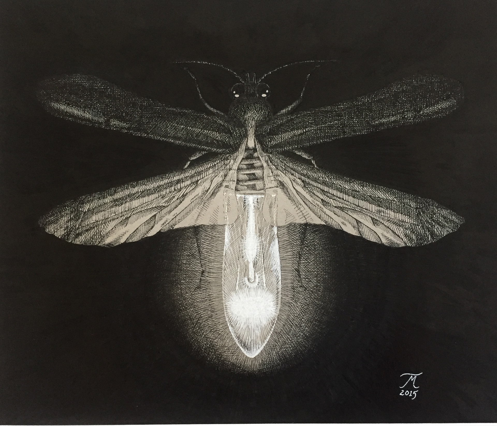 Liian kirkas, 29 x 34 cm, 2015