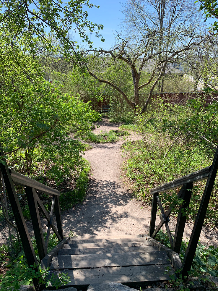 Fredrika´s garden in the spring