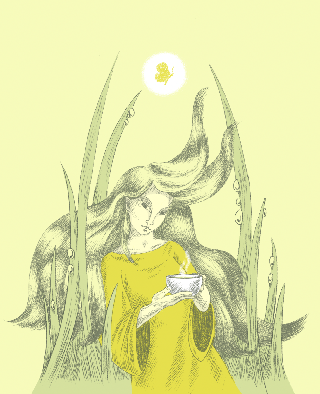 Illustration for black tea Puerh Tuocha.
